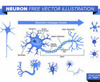 Neuron Free Vector Illustration