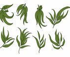 Eucalyptus Icon Set