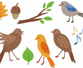 Free Singing Birds Vectors