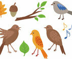 Free Singing Birds Vectors