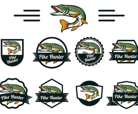 Pike Fish Vector