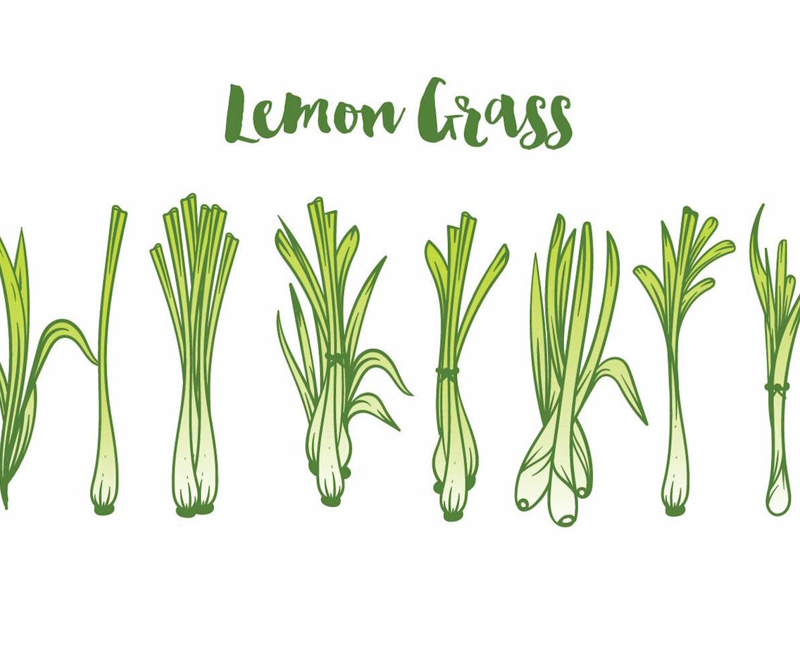 Lemon Grass Icon Set