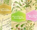 Three Aromatherapy Cards