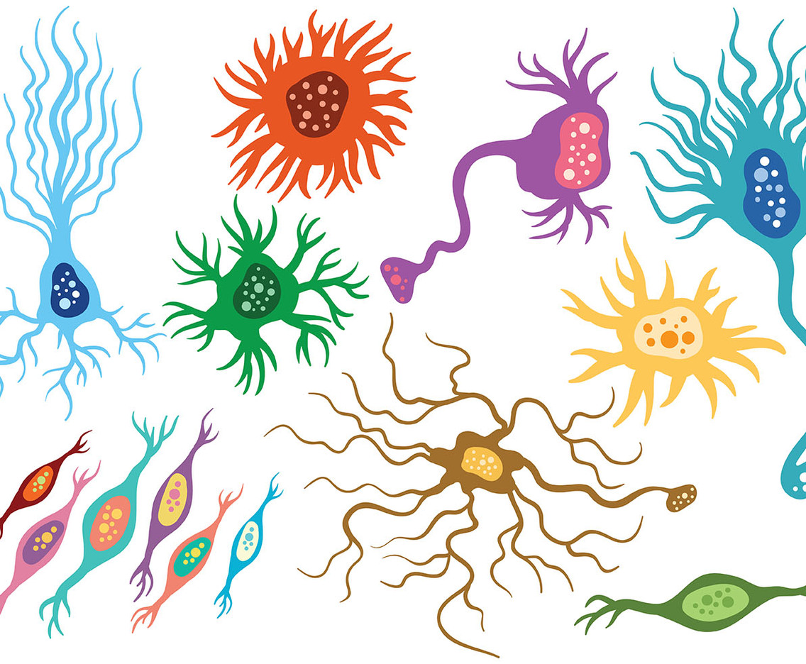 Free Neuron Icons Vector