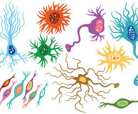 Free Neuron Icons Vector