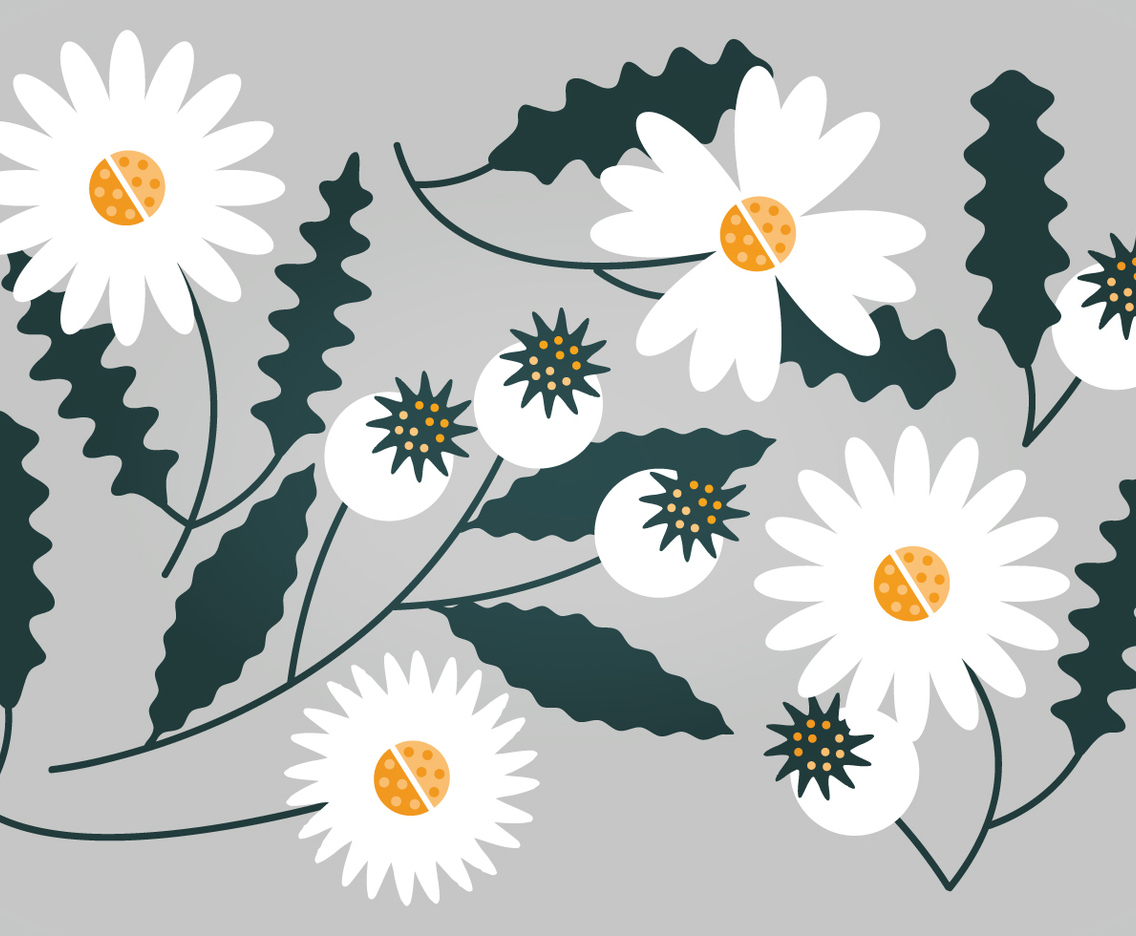 Vector White Floral Set