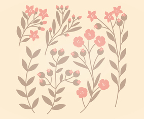 Pink and Brown Vector Floral Set