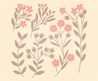 Pink and Brown Vector Floral Set