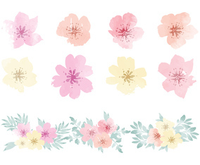 Vector Watercolor Hawaiian Flower Elements