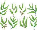 Free Eucalyptus Icons Vector