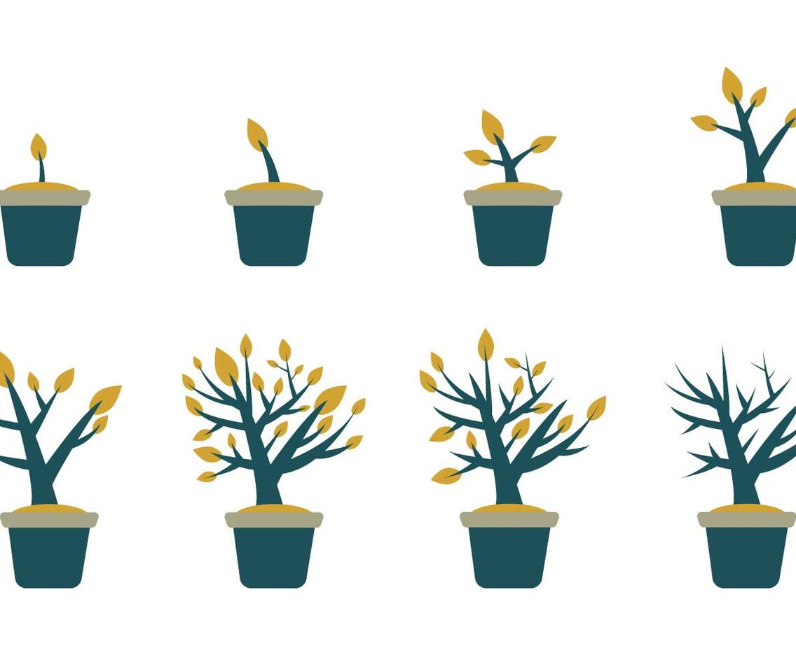 Free Grow Up Plant Vector