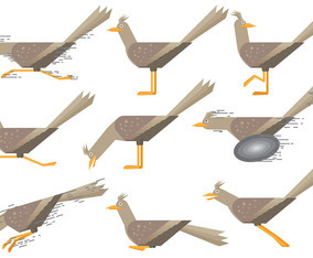 Free Roadrunner Icons Vector