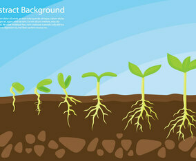 Plant Grow Up Concept Vector
