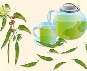Eucalyptus Tea