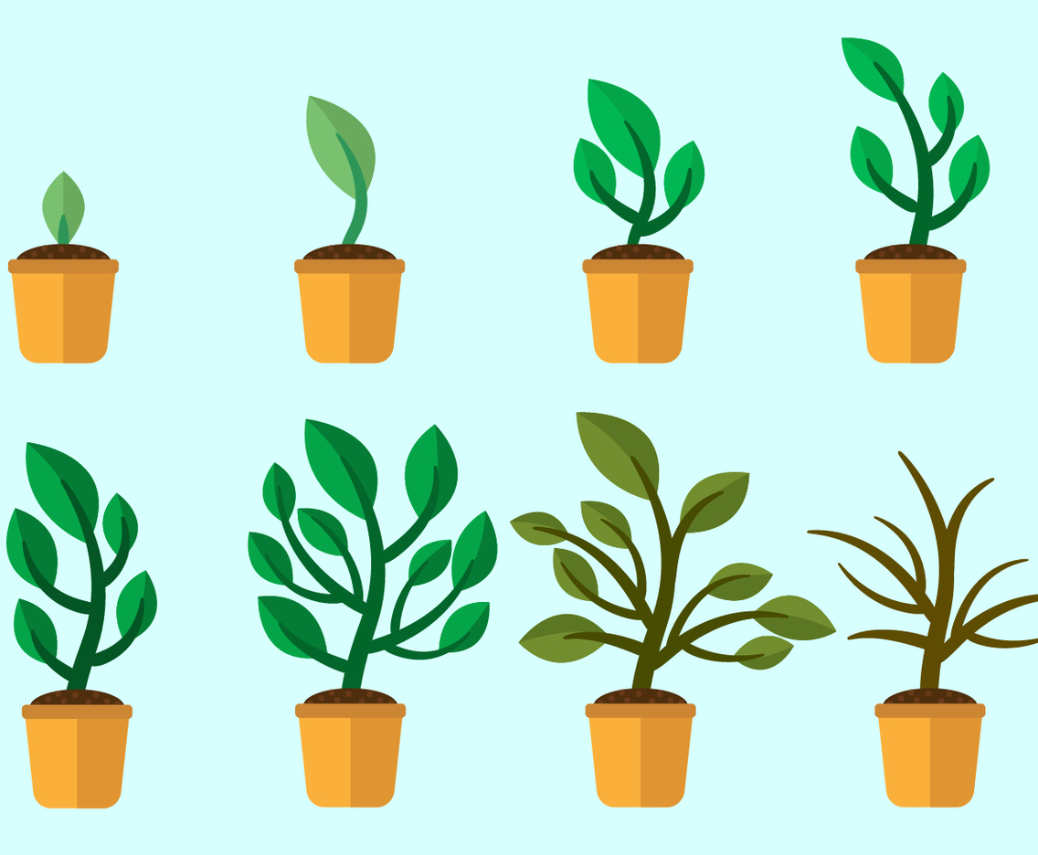 Free Grow Up Plants Vector