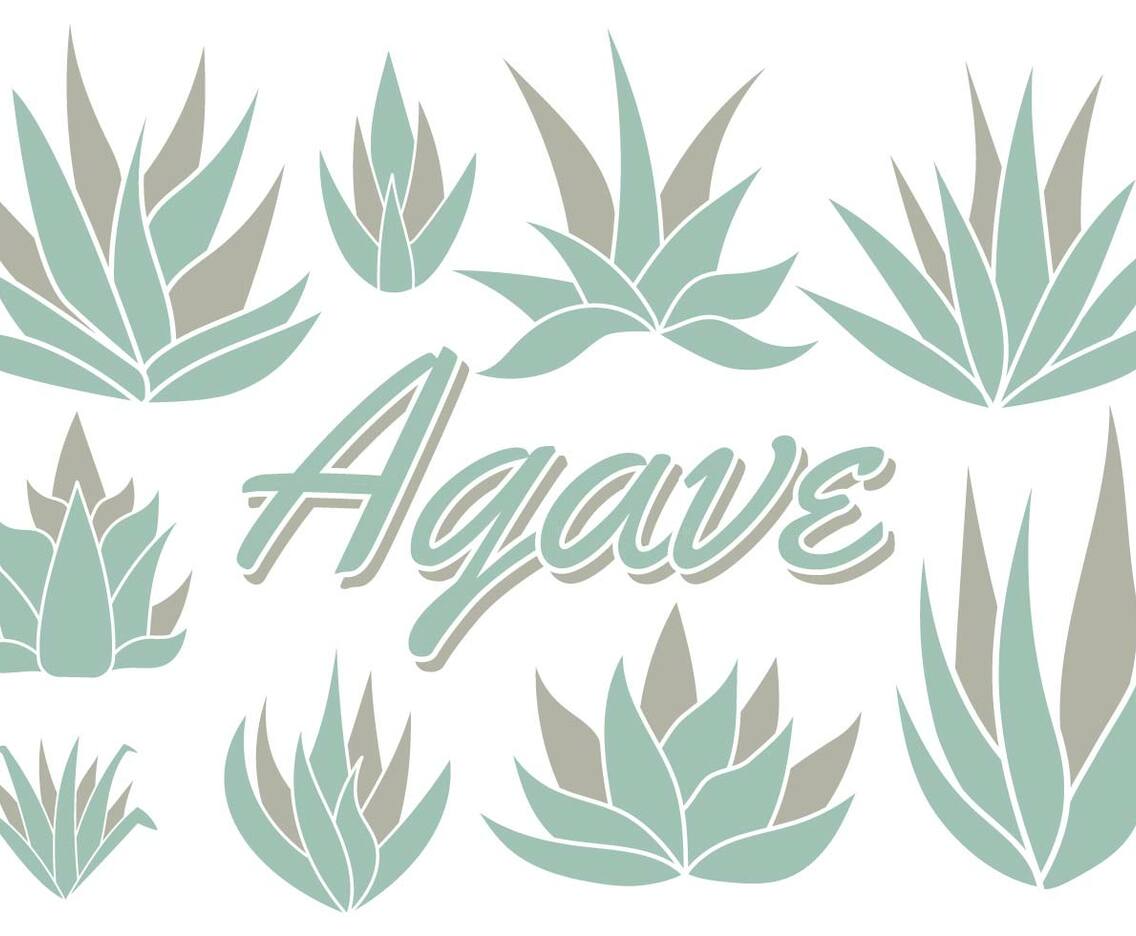 Free Maguey Vector