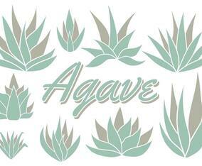 Free Maguey Vector