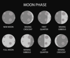 Free Moon Phase Vector