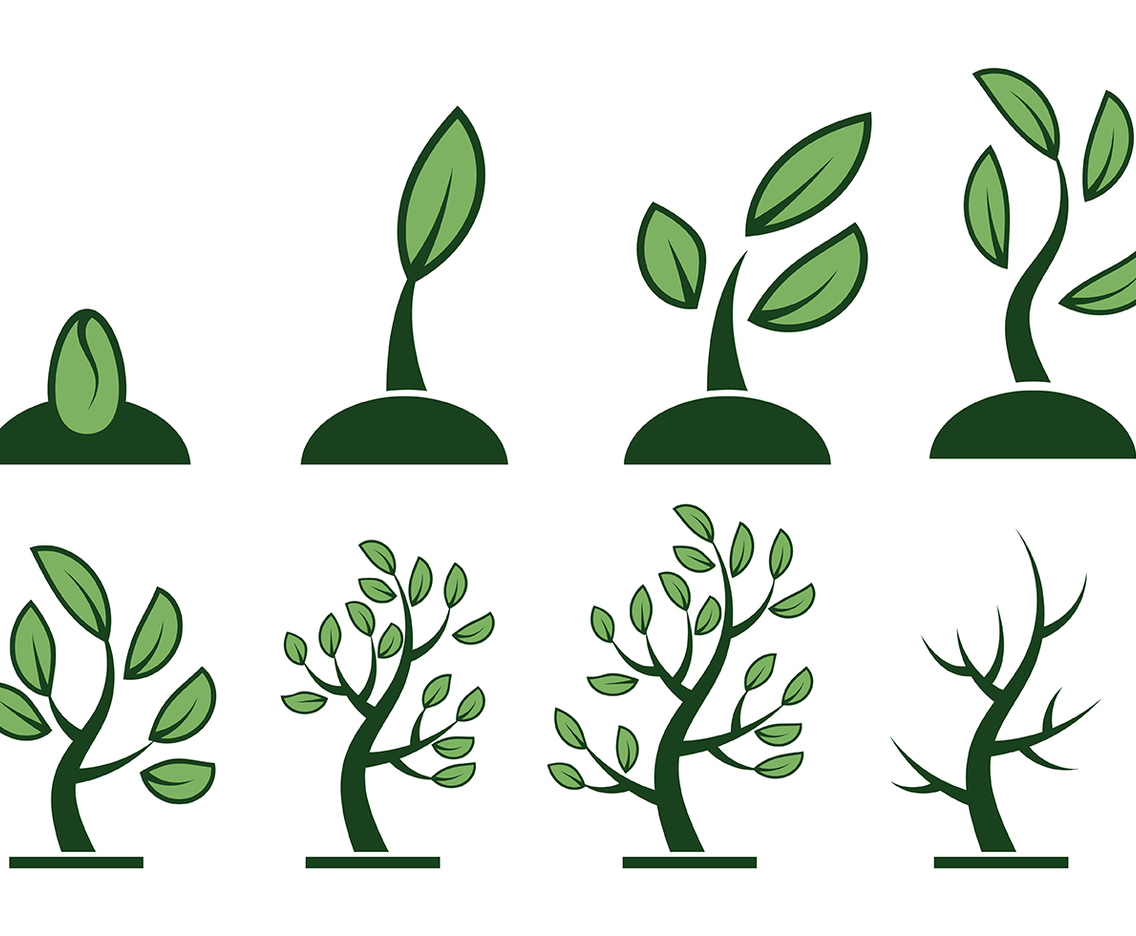 Free Grow Up Vector
