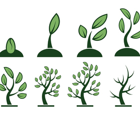 Free Grow Up Vector