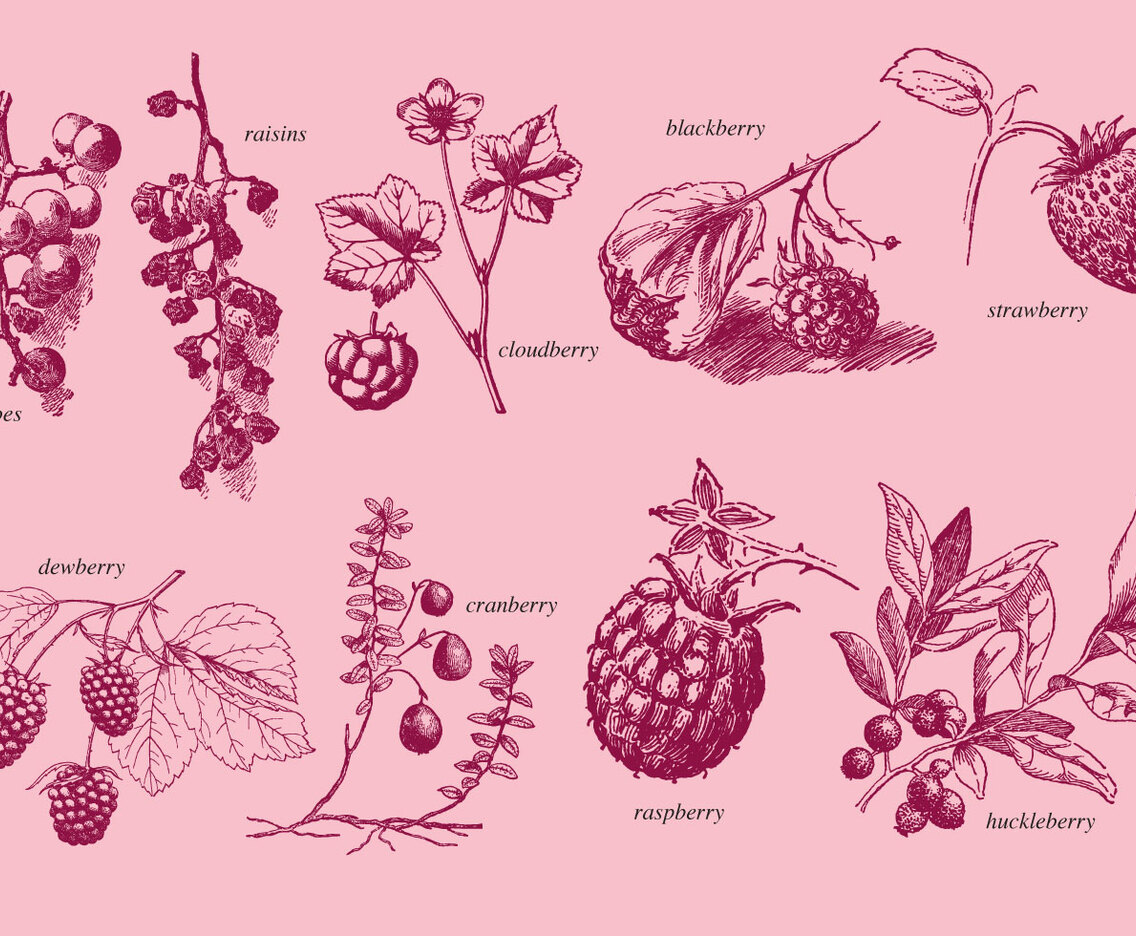 Old Style Drawing Berries