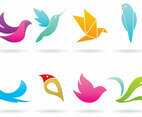 Colorful Bird Logo Vectors