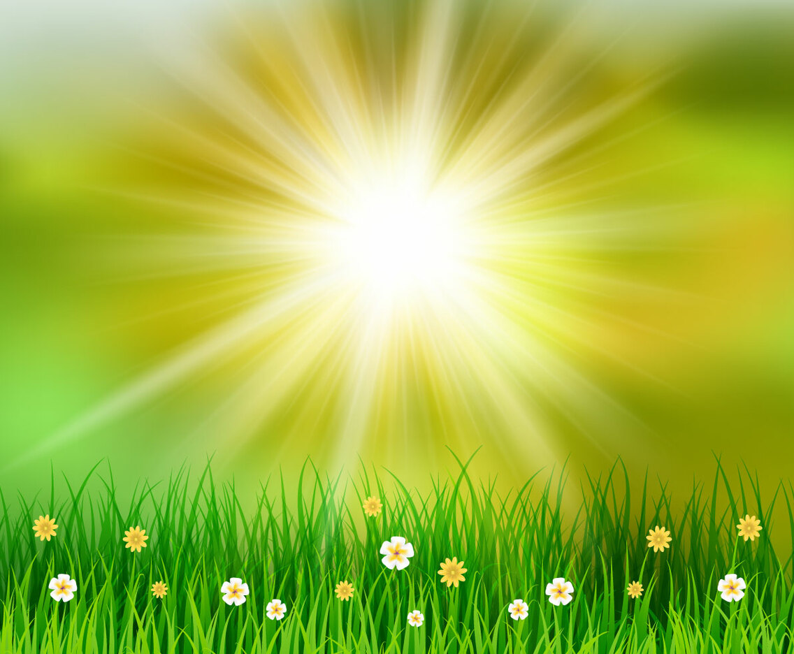 Grassy Spring Background
