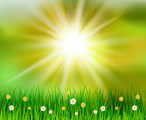 Grassy Spring Background