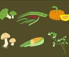 Vegetable Illustration Vector