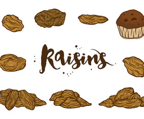 Raisins Vectors