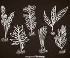 Spices Vector Set
