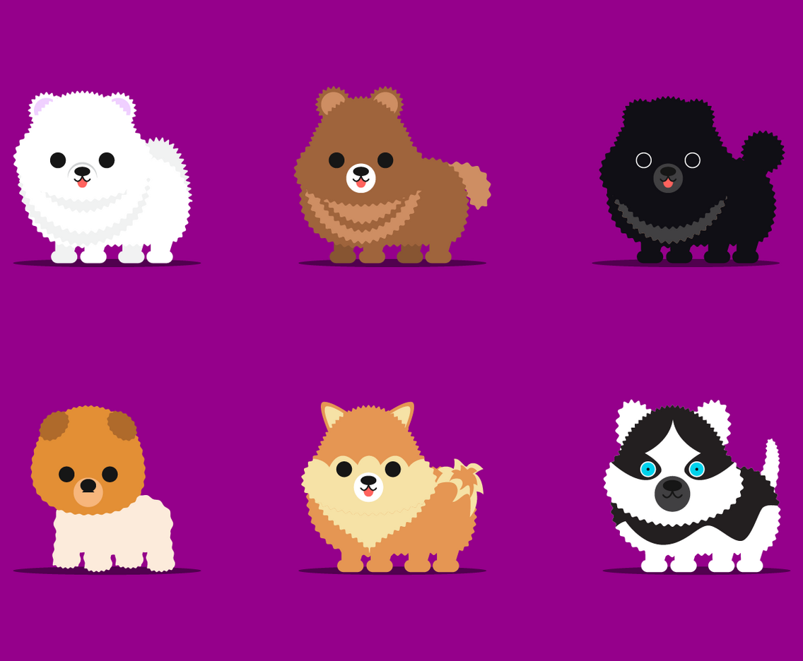 Free Pomenarian Vector