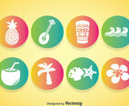 Hawaii Element Icons Vector