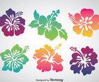 Colorful Hawaii Flower Vector Set
