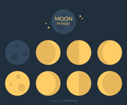 Free Moon Phases Vector