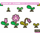 Grow Up Flower Free Vector Pack