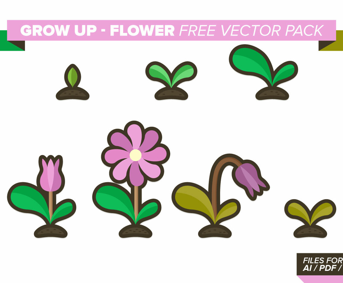 Grow Up Flower Free Vector Pack