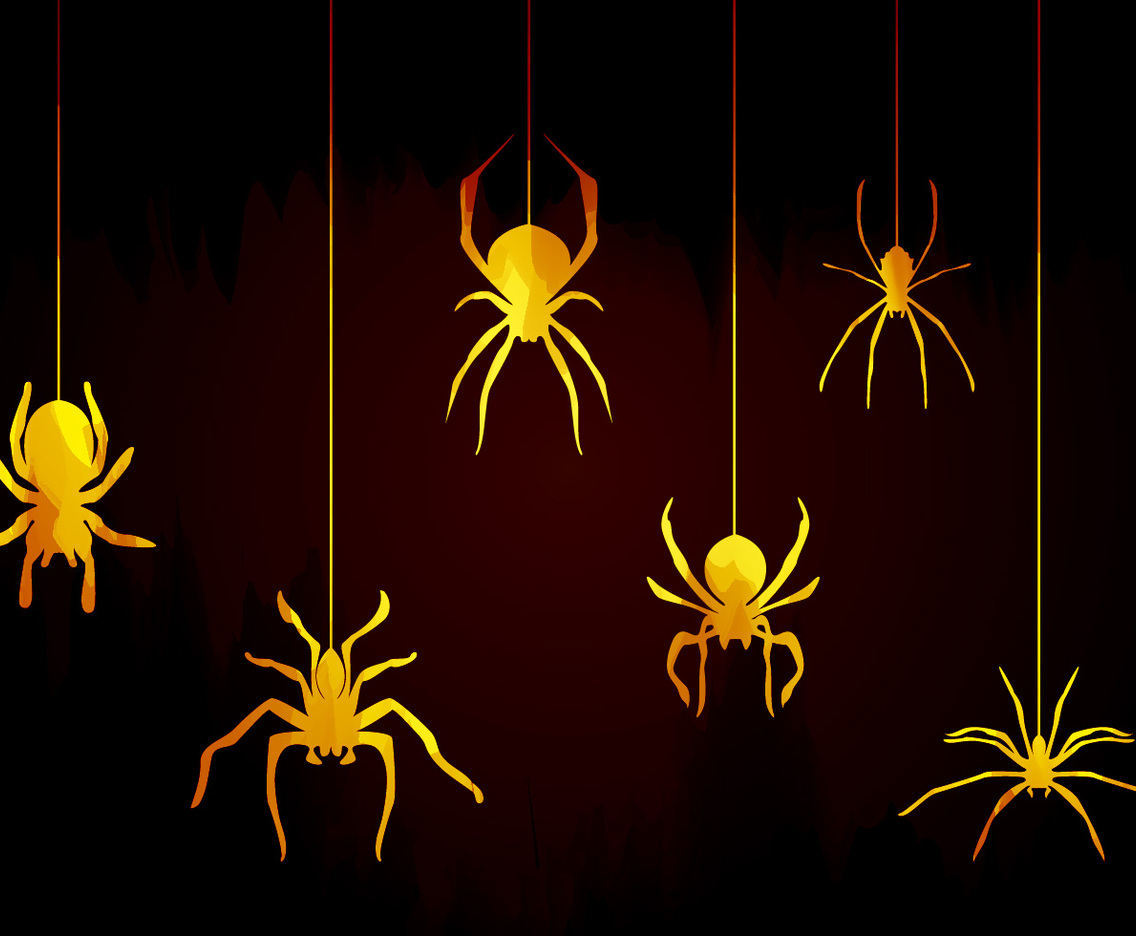 Tarantula Spiders Vector