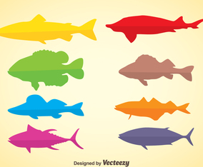 Colorful Silhouette Fish Vector