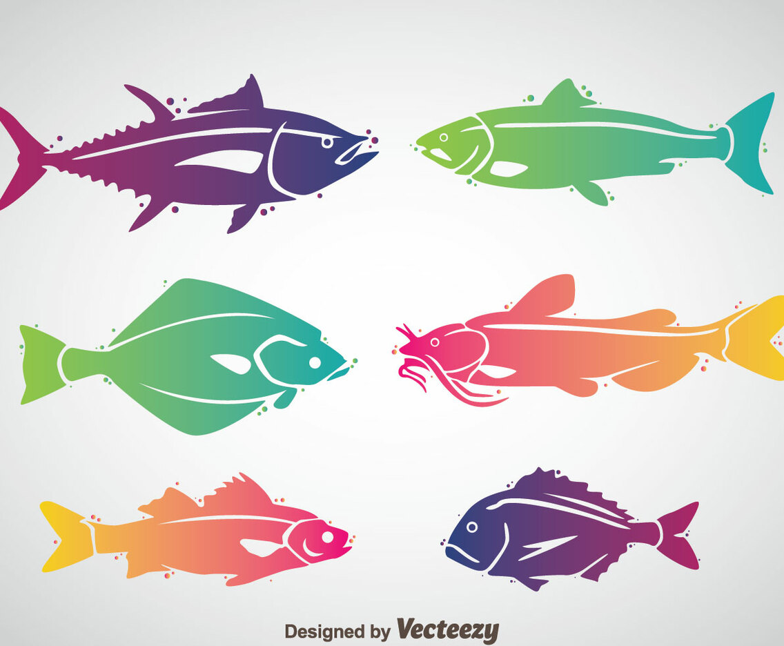 Fish Colorful Vector