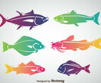Fish Colorful Vector