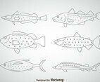 Fish Thin Outline Icons