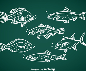 Fish Hand Drawn Vector