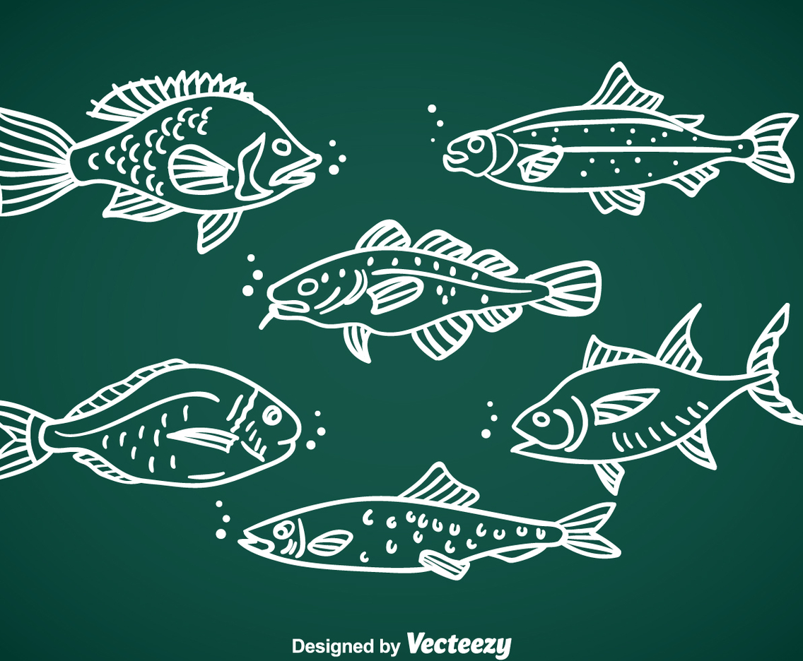 Fish Hand Drawn Vector