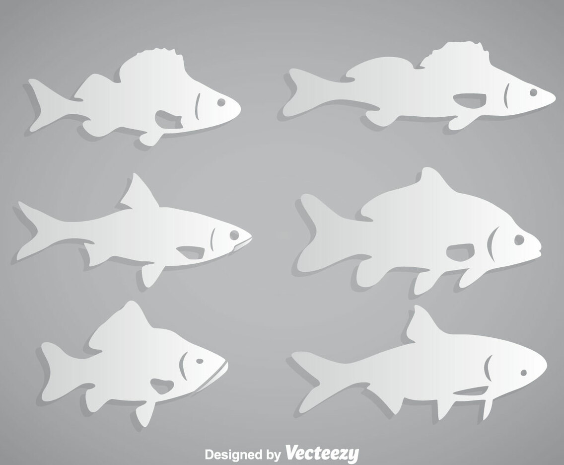 Fish White Vector