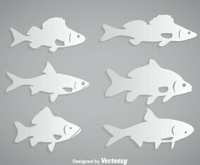 Fish White Vector