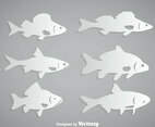 Fish White Vector
