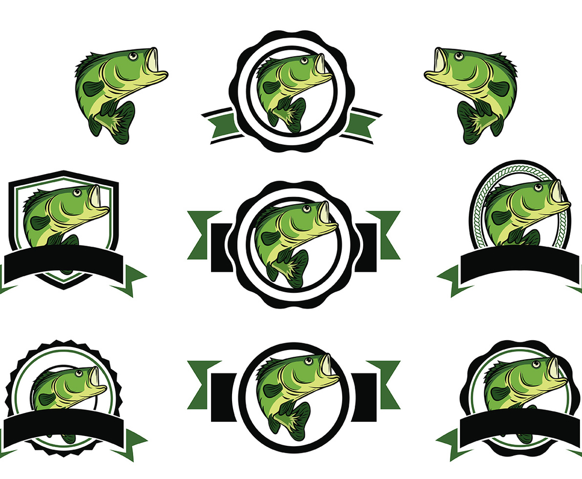 Free Bass Fish Vector