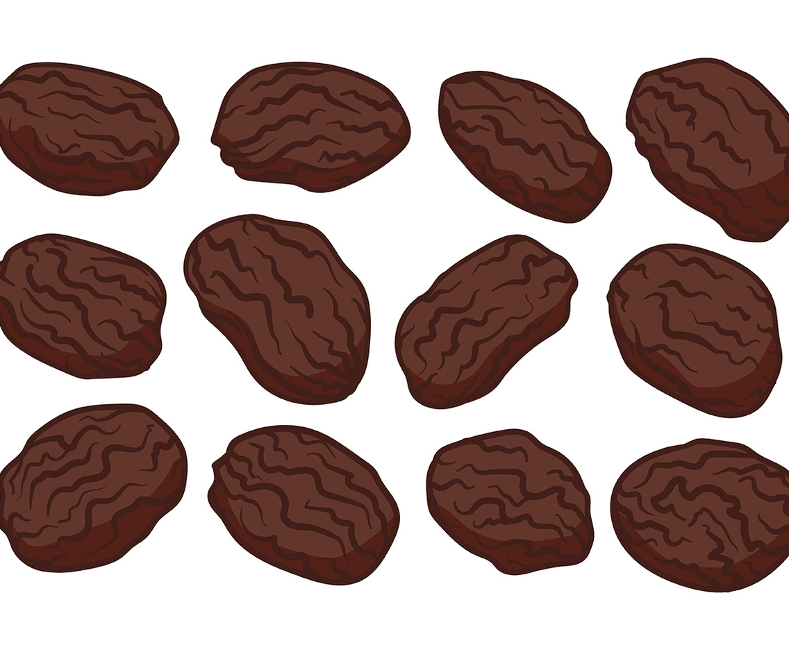 Free Raisins Vector