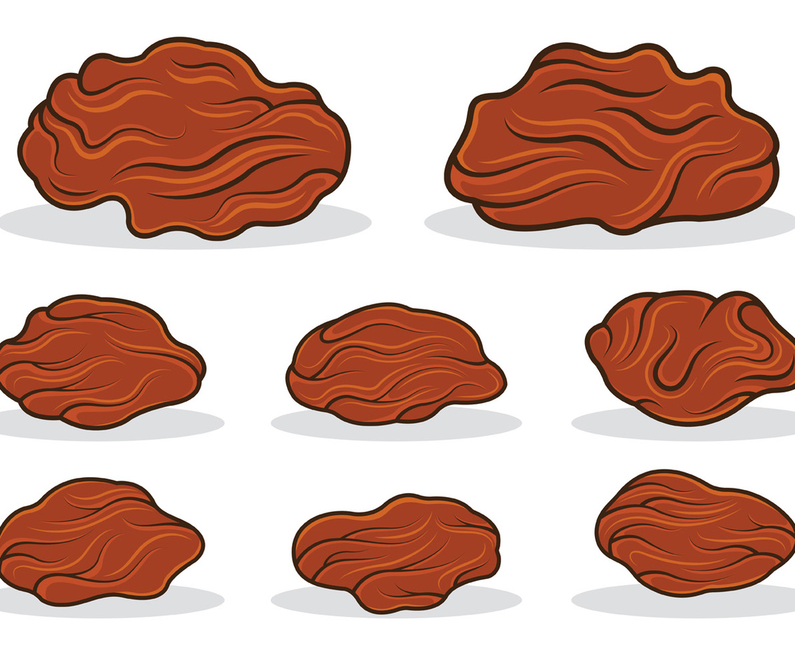 Raisins Icon Vector